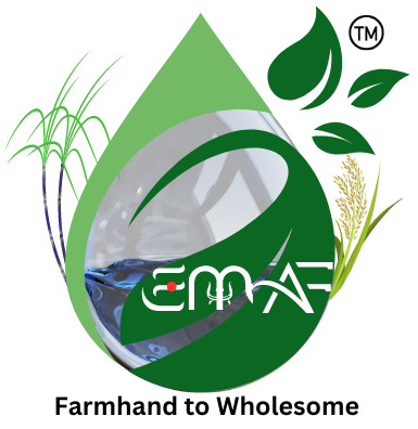 EMAF Logo